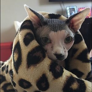 Meet your Posher, Danielle